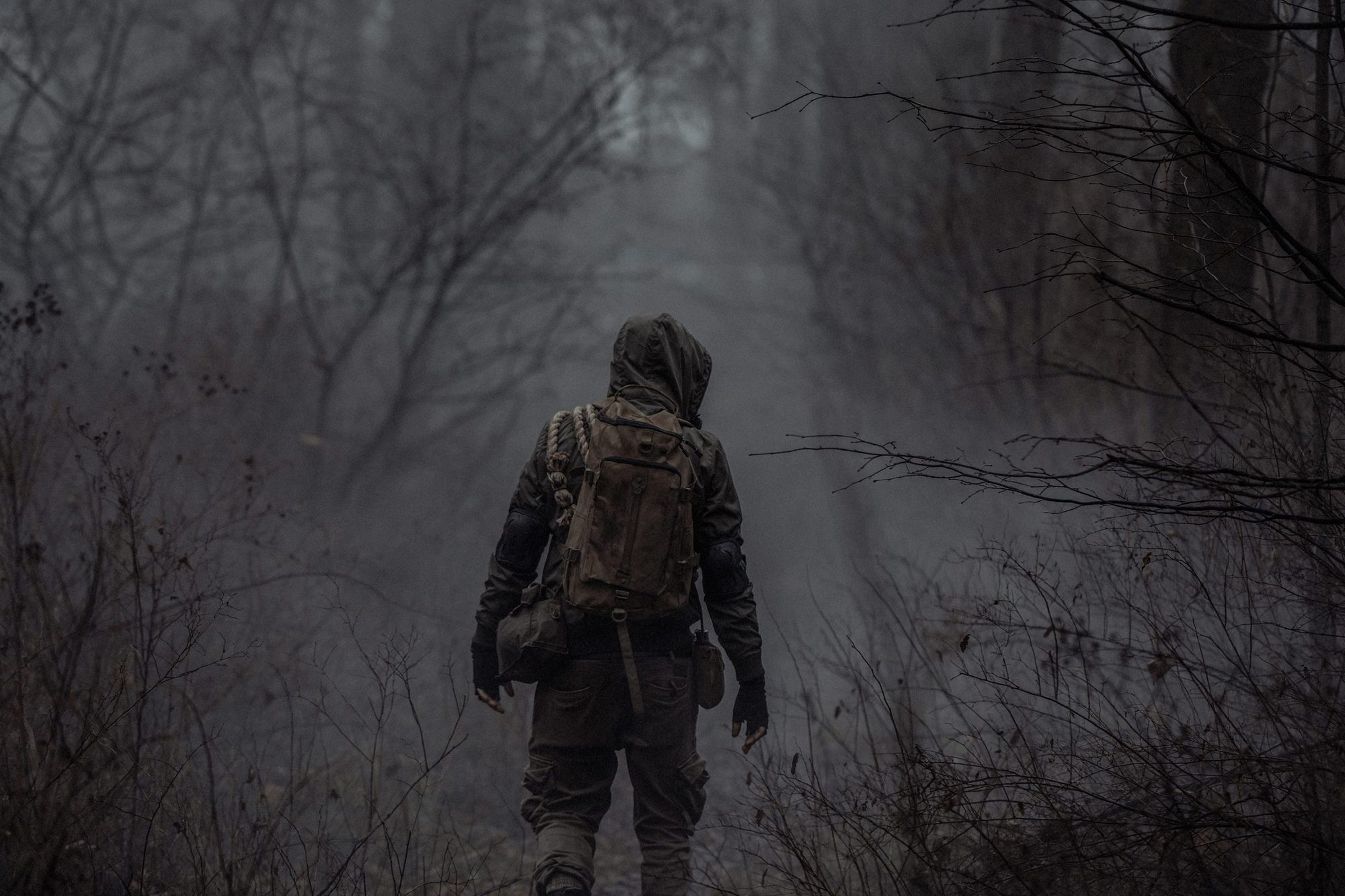 Survivor im nebligen Wald
